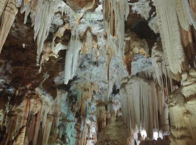 公寓 El Corazon De Gredos *